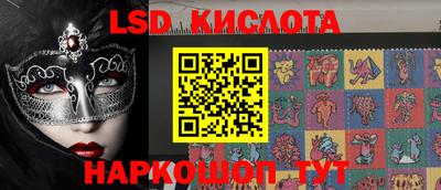 шишки Бийск