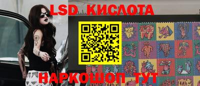 шишки Бийск