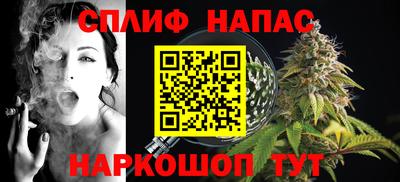 шишки Бийск