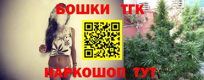 шишки Бийск