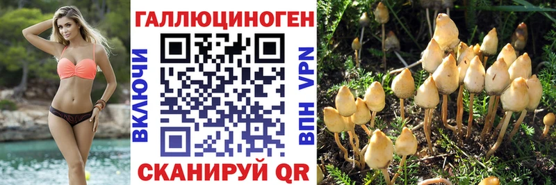 Галлюциногенные грибы мухоморы Братск