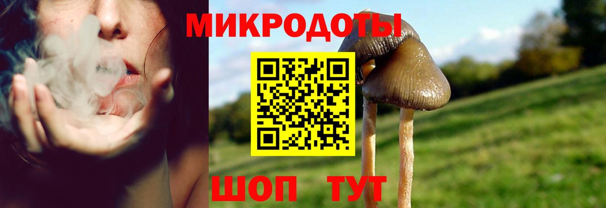 Галлюциногенные грибы Psilocybe  Вход с VPN  Псилоцибиновые грибы GOLDEN TEACHER  Братск 