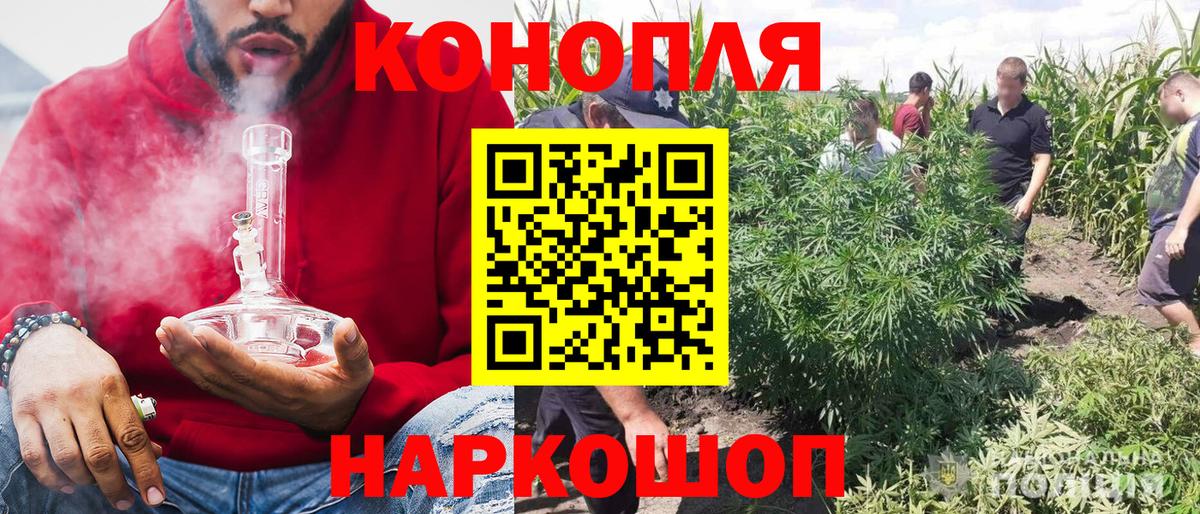 Конопля AK-47  Бошки Шишки тримм  Шишки марихуана гибрид  Шишки марихуана AK-47  Братск  Вход с VPN 